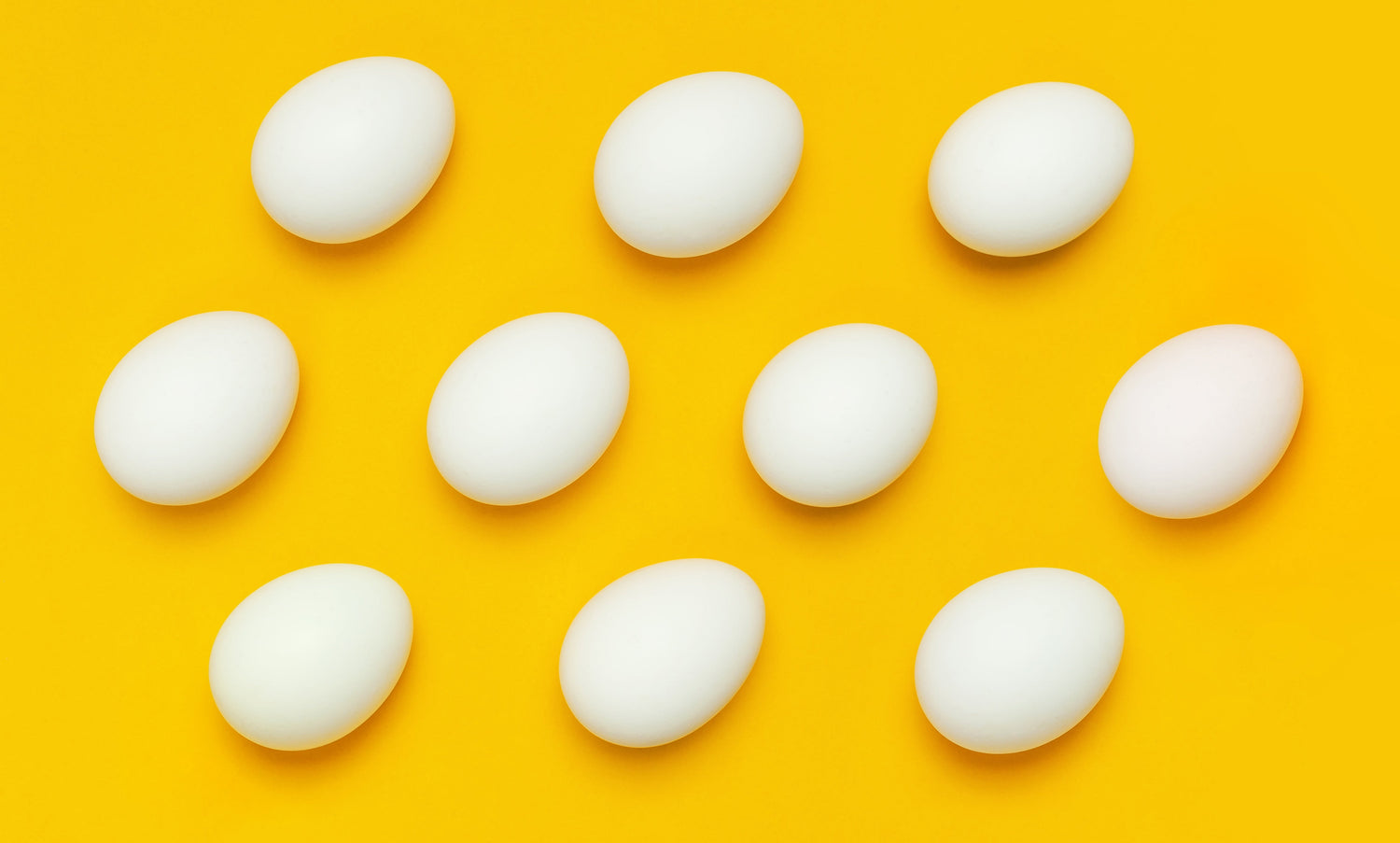 ten eggs in front of a yellow background
