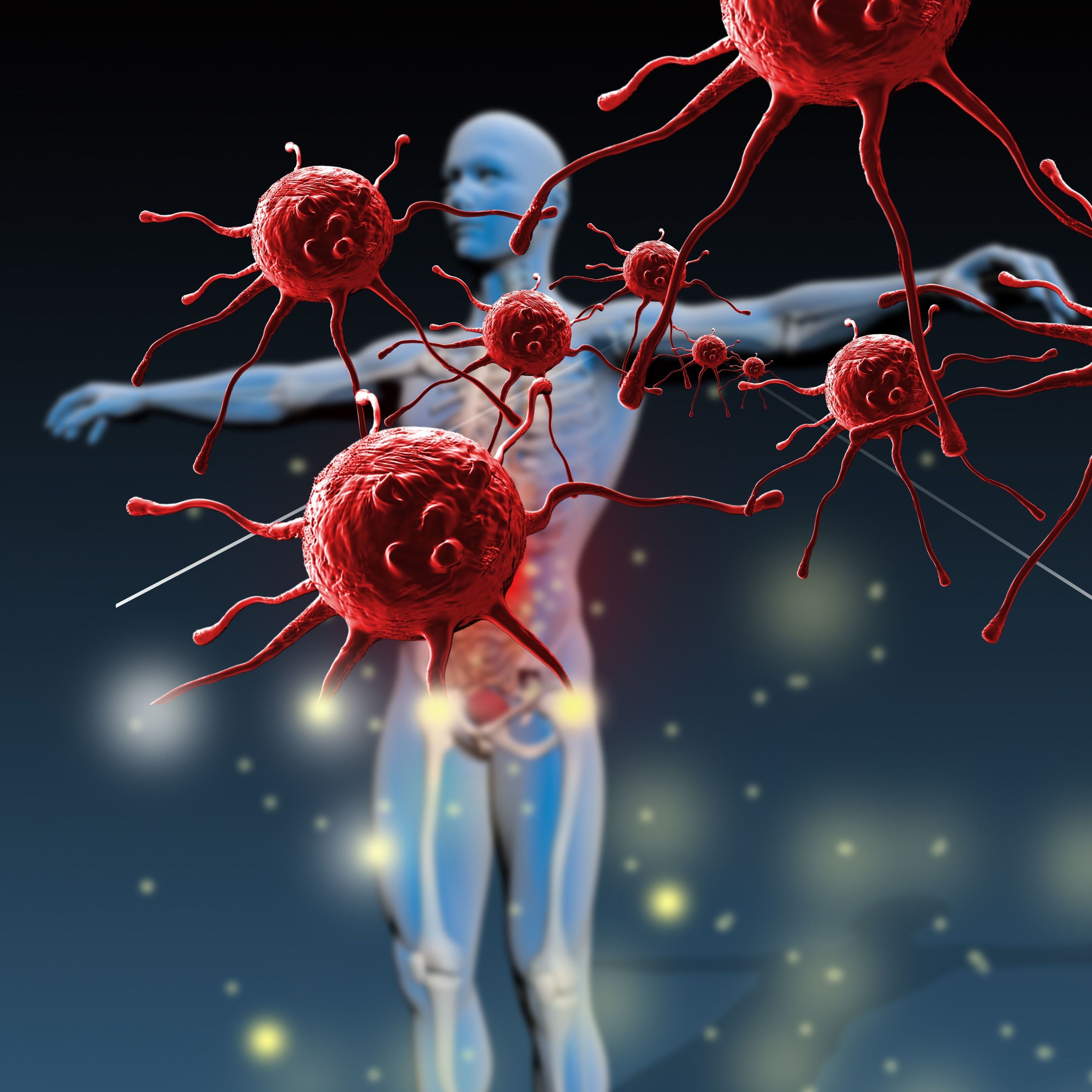 Are T Cells the Best Protection Against the Omicron Variant?