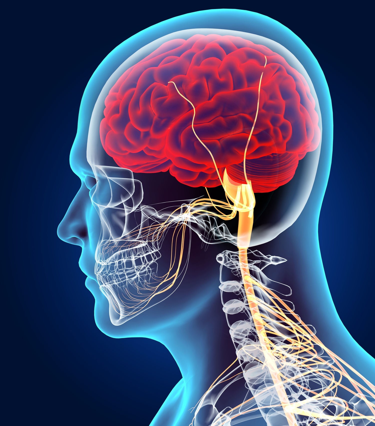 How to Improve Brain Health for a Longer Life