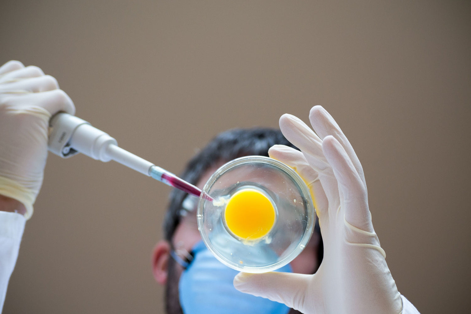 scientist holding an egg