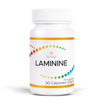 LAMININE